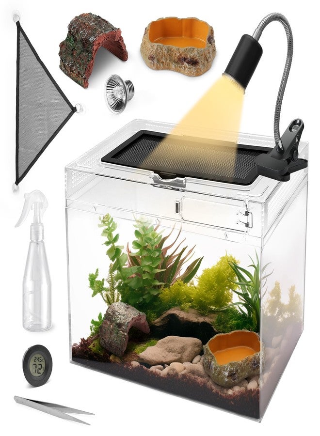 AZV Reptile Terrarium Starter Kit,8 Piece Small Reptile Tank with Escape-Proof Locks,Mesh Top,Multi-Vent Compatible Habitat,Durable Clear PC,Easy-Clean Waterproof Base for Geckos,Frogs,Spiders Small - Image 1